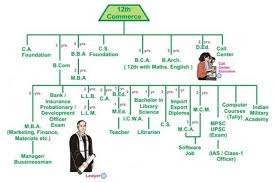 What Are The Career Options After 10th Standard Quora Commerce Stream Career Counseling Education Information