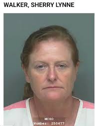 Captain Sherry Walker Reveals the Real Reasons For All These Plane ✈️  Crashes : r/atc2