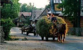 Onder andere omdat ik zo enorm enthousiast ben over de landen tsjechië, slowakije en polen. Polen En Slowakije Landbouwleven