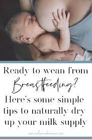 How To Relieve Engorged Breasts When Weaning Naturally Made Mom