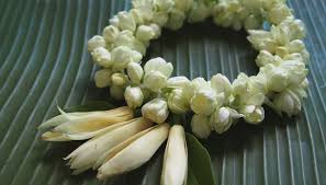 Image result for jasmine flower garland images