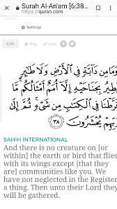 Surah al an'am here in our azclip channel you can find quran with urdu translation in the most soothing arabic recitation by. Jb On Twitter Surah Al Anam 6 38 Allah S W A T Has Talked About Animals And Birds That They Are Communities Like You May Allah Forgive Us For Mistreating The Animals Https T Co Ymxhy8tsri
