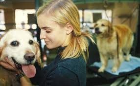 How To Turn Your Love For Animals Into A Full Time Job Jobs With Animals Animals Buy A Dog