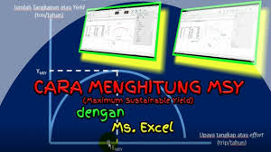 Cara Menghitung Msy Maximum Sustainable Yield Dengan Microsoft Excel Pendidikan Youtube