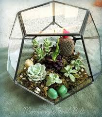 Diy Hanging Globe And Geo Terrariums Diy Succulent Terrarium Hanging Terrarium Succulent Terrarium