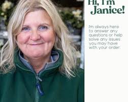 Maidenhair Fern Plant Adiantum Raddianum in 8.5cm Pot