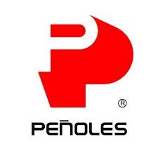 Profile for Industrias Peñoles