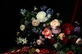 Check spelling or type a new query. Exobiotanica Takes Flowers To Space Ignant