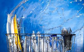 Tìm hiểu các tính năng chuyên dụng của máy rửa bát