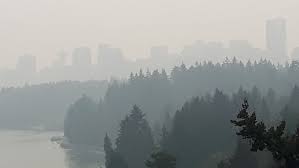 Waqa tells us if the air is polluted. Air Quality Plummets In Metro Vancouver As Wildfire Smoke Blankets South Coast Cbc News