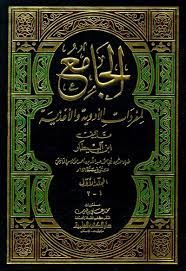 تحميل كتاب الجامع لمفردات الأدوية والأغذية pdf تأليف إبن البيطار وقراءة أونلاين ضمن تصنيف كتب طب pdf وتحميل كتب pdf اخرى كتب مجانية على city photo photo aerial
