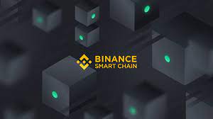 Binance is popular for its crypto to crypto exchange services. Binance Smart Chain Launches Today Binance Blog