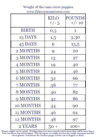 Cane Corso Growth Chart Male Goldenacresdogs Com