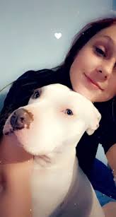 Help finding a distinctive 2-year-old cat in East Fort Worth