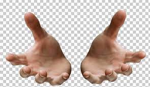 Hands Open Receiving Png Pose Reference Hand Drawing Reference Hand Reference