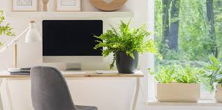 We did not find results for: 12 Best Plants For The Office Low Light Plants For Office Desk