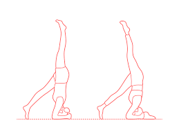 Maybe you would like to learn more about one of these? One Legged Headstand Eka Pada Sirsasana Dimensions Drawings Dimensions Com