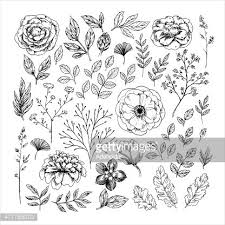 See more ideas about vintage flowers, flower art, flower clipart. Hand Drawn Leaf And Flower Collection Vector Illustration Clipart Image