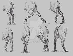 Study Horse Hindlegs By Dheelis Horse Sketch Animal Drawings Horse Anatomy