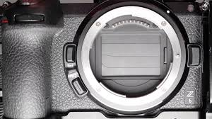 Nikon Is Ending Is Free D600 Sensor Dust Repair Service In January 2020 Diy Photography