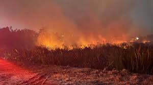 Aumentan incendios en el municipio de Centro