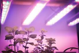 Commercial Grade Led Grow Light For Vertical Farming Quote Rfq Price And Buy