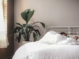 Hypnagogic Jerk Hypnic Jerk Why Do I Twitch When I Fall Asleep