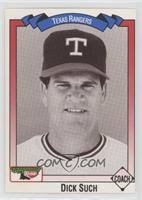 Dick Such Baseball Cards