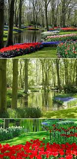 Keukenhof Gardens The Netherlands Keukenhof Gardens The Netherlands An Unprecedented Wealth Of Spectacular Floral Displays Plant Nederland Landschap Tuin