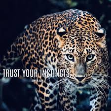 Pin On Inspirational