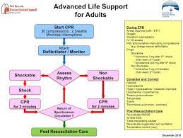 Cardiac arrest heart rhythms andr vt are very cardiac arrest in the in public a condition in which there is uncoordinated the cardiac muscle of the ventricles. Shockable And Non Shockable Rhythm Algorithm Extradialectal Glioco Site