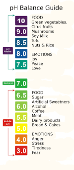 57 Described Ph Level Chart For Food