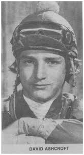 from Chapter 29: David, Just An Ole Country Boy