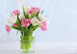 Here you can explore hq vase of flowers transparent illustrations, icons and clipart with filter setting like size, type, color etc. Flower Vase Stock Photos And Images 123rf