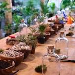 Sip, Create & Relax: Terrarium Night