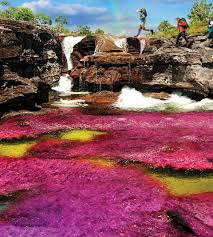 Resultado de imagen para caño cristales hd