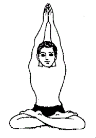 Yoga Exercise Parvatasana Mountain Pose Mountain Pose Yoga Asanas Yoga Poses