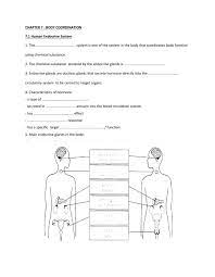 Endocrine Glands Worksheet