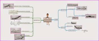 Esquemas Temario De Auxiliares De Enfermeria Para Oposiciones Esquema De Posiciones Del P Auxiliar De Enfermeria Oposiciones Auxiliar De Enfermeria Enfermeria