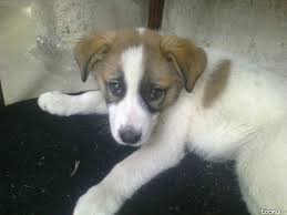 We did not find results for: Spitalul De Psihiatrie Si Neurologie Brasov Bestdoctor Ro