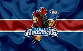 Rooster will serve as a guard and defender against perceived and actual danger. Pin Auf Eishockey