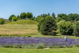 Things to do near botanischer garten augsburg. Botanischer Garten Augsburg Botanischer Garten