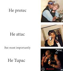 He Protec He Attac But Most Importantly Really Funny Memes Funny Memes Really Funny