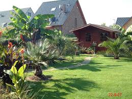 Erfahrene gärter ergänzen ihren garten gerne durch einen gartenteich. Garten 2007 Exoten Und Palmen Claus Willich Tropical Garden Plants Garden