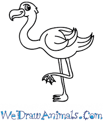 Green for the trees and bushes, yellow for the giraffe, brown for the giraffe's spots and the lion's mane… How To Draw A Cartoon Flamingo