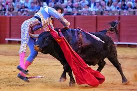 Torero Roca Rey
