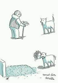 Mi se pare de necrezut ca în 2021 să ai pretenția că scrii analize și anchete și să vii cu „căc. O PozÄƒ Cat O Mie De Cuvinte Statusuri Si Poze De Iubire ÙÙŠØ³Ø¨ÙˆÙƒ