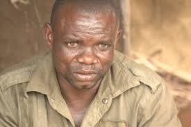 The Koko: Truth, Reality, and a Chimera