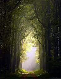 40 Fascinating Photographs Of Forest Paths To Another World Bored Art Beautiful Landscapes Beautiful Landscape Photography Landscape Photography