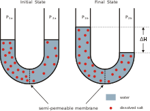 .an animal cell in a hypertonic solution? Osmosis Wikipedia